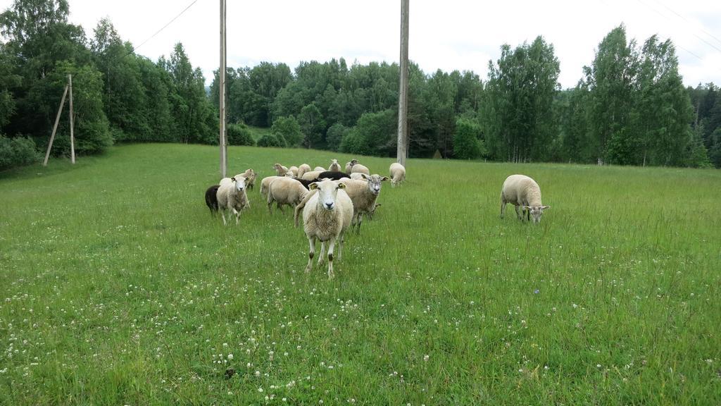 Maee Farm Villa Rõuge Eksteriør billede